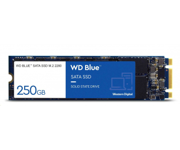 WD BLUE SSD 3D NAND WDS250G3B0B 250GB SA510 M.2 SATA, (R:555, W:440MB/s)