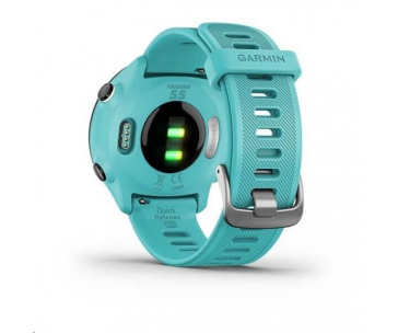 Garmin GPS sportovní hodinky Forerunner 55 Blue