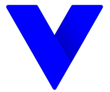 Vivotek VSS Pro Camera License